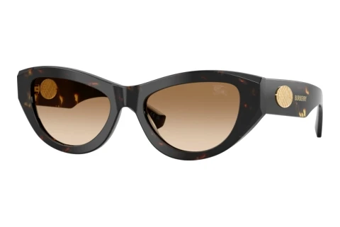 Sunglasses Burberry BE4502 410689