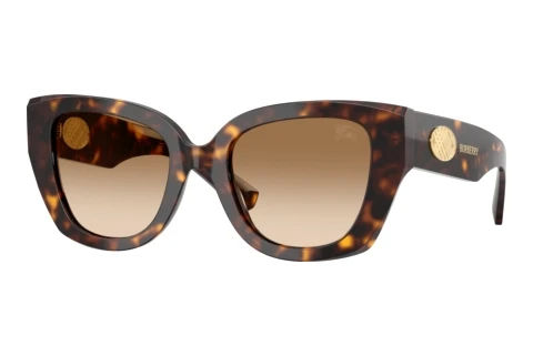 Sunglasses Burberry BE4503 300289