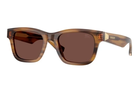 Sunglasses Burberry BE4504 425373