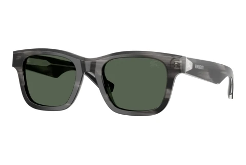 Sunglasses Burberry BE4504 425482