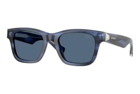 Sunglasses Burberry BE4504 425580