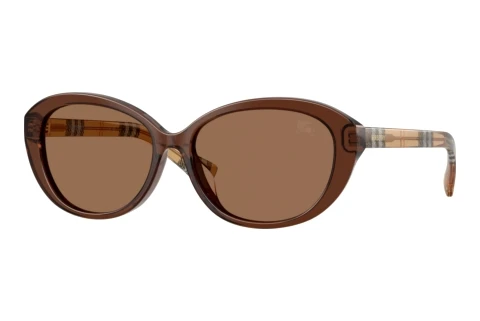 Sunglasses Burberry BE4507D 424373