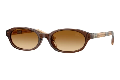 Sunglasses Burberry BE4508D 424313