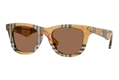 Sunglasses Burberry JB4002 416373