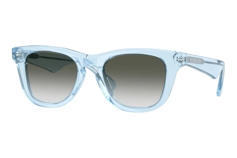 Sunglasses Burberry JB4002 42158E