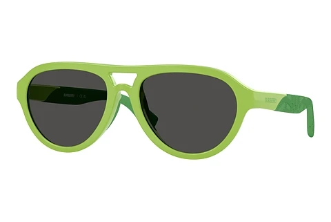 Sunglasses Burberry JB4005U 418287