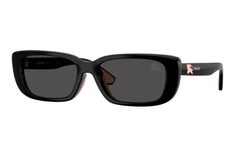 Sunglasses Burberry JB4006U 300187