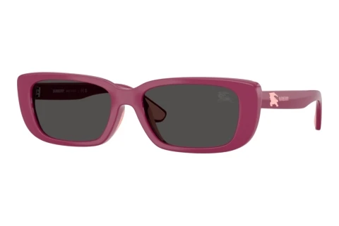Sunglasses Burberry JB4006U 413487