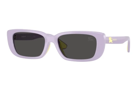 Sunglasses Burberry JB4006U 422887
