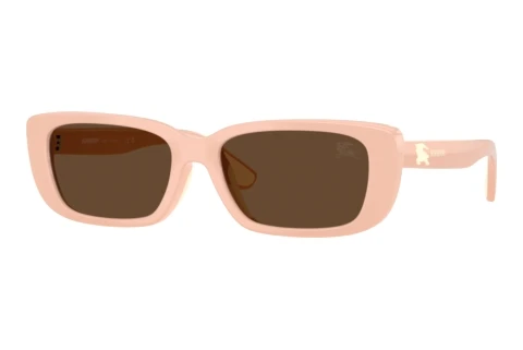 Sunglasses Burberry JB4006U 422973