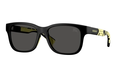 Sunglasses Burberry JB4007U 346487