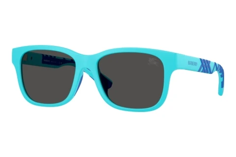 Sunglasses Burberry JB4007U 423587