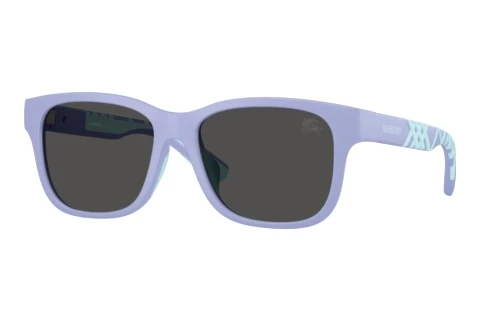 Sunglasses Burberry JB4007U 423687