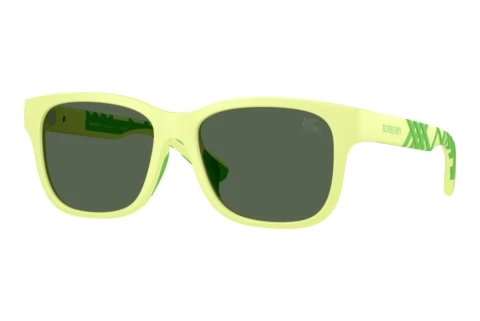 Sunglasses Burberry JB4007U 423771