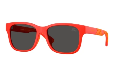 Sunglasses Burberry JB4007U 423887