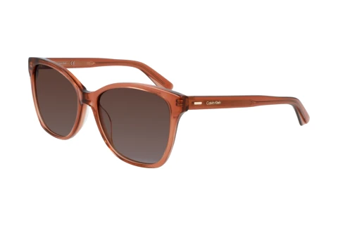 Sunglasses Calvin Klein CK21529S N 601