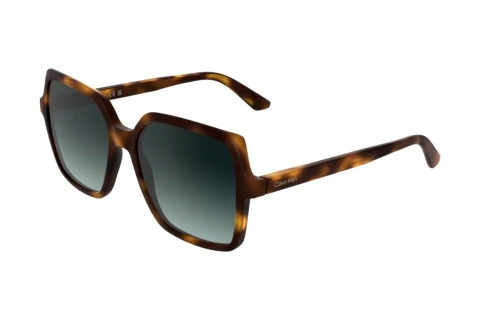 Sunglasses Calvin Klein CK25537S 235