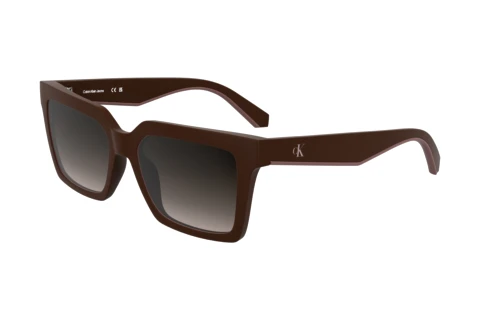 Sunglasses Calvin Klein CKJ25602S N 605
