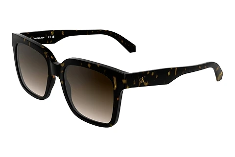 Sunglasses Calvin Klein CKJ25624S 242