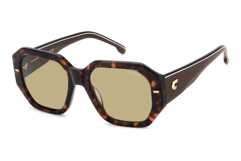 Sunglasses Carrera CARRERA 3109/S WR9/QT