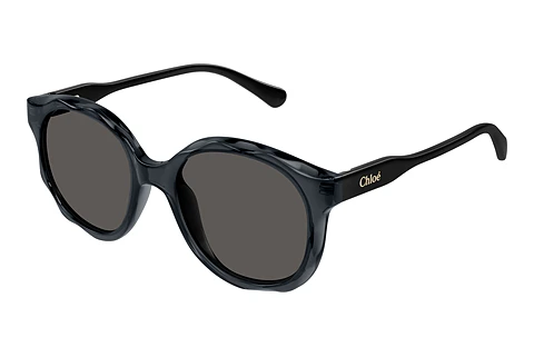 Sunglasses Chloé CC0019S 001