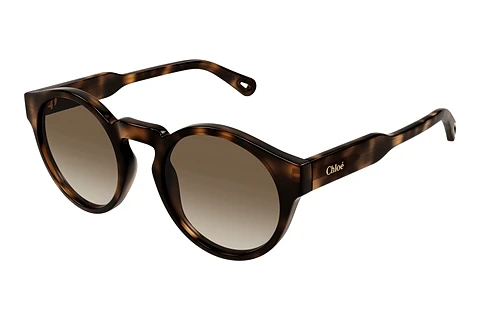 Sunglasses Chloé CH0158S 002