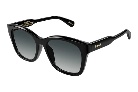 Sunglasses Chloé CH0194SK 001