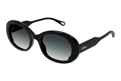 Sunglasses Chloé CH0197SA 001