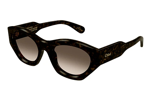 Sunglasses Chloé CH0220S 002