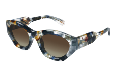 Sunglasses Chloé CH0220S 017