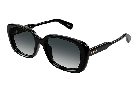 Sunglasses Chloé CH0225SK 001