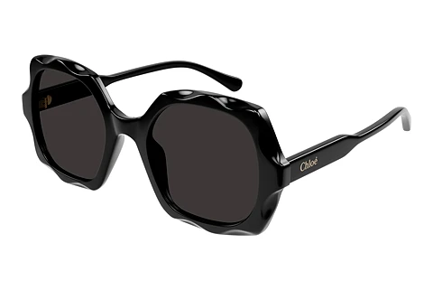 Sunglasses Chloé CH0226S 005