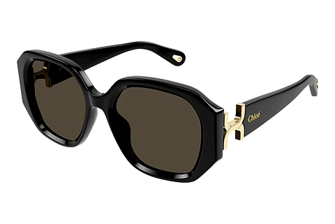 Sunglasses Chloé CH0236S 001