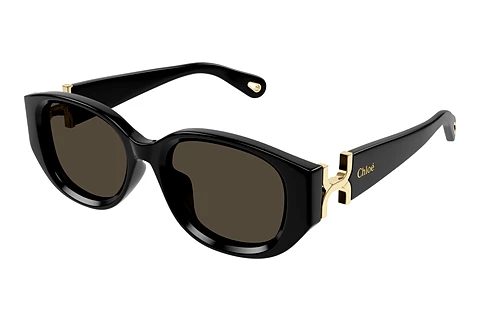 Sunglasses Chloé CH0237SK 001