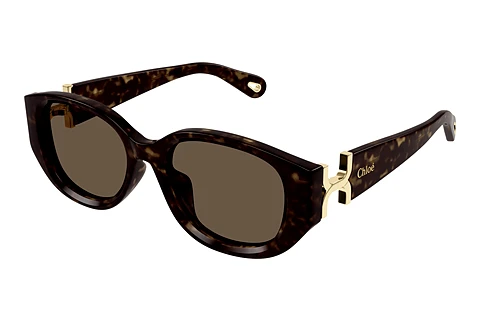 Sunglasses Chloé CH0237SK 002