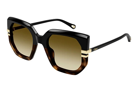 Sunglasses Chloé CH0240S 003