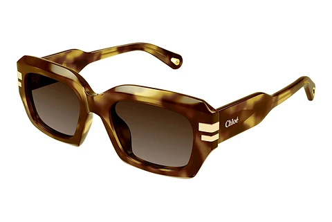 Sunglasses Chloé CH0256S 002