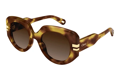Sunglasses Chloé CH0257S 002