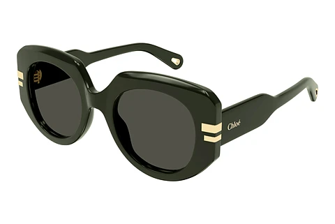Sunglasses Chloé CH0257S 003
