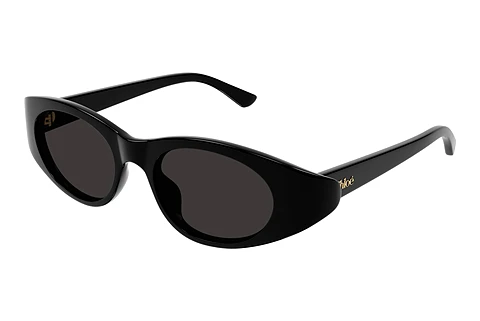 Sunglasses Chloé CH0279S 001