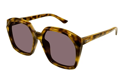 Sunglasses Chloé CH0280S 004