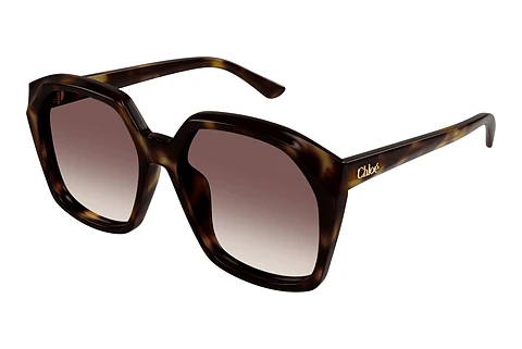 Sunglasses Chloé CH0280S 006