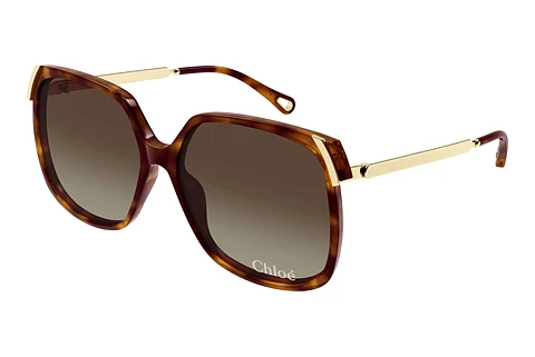 Sunglasses Chloé CH0286S 002