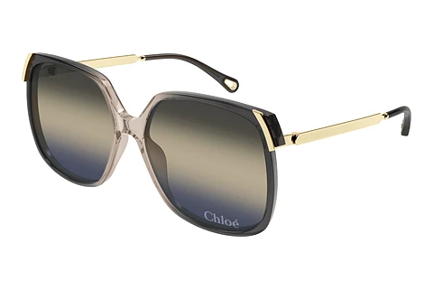 Sunglasses Chloé CH0286S 009
