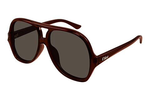 Sunglasses Chloé CH0289S 002