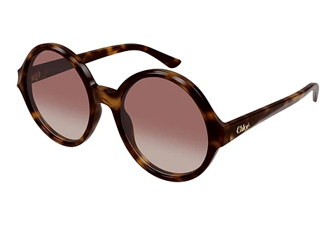 Sunglasses Chloé CH0290S 003
