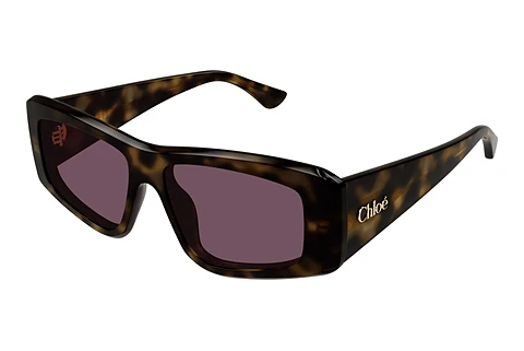 Sunglasses Chloé CH0299S 002
