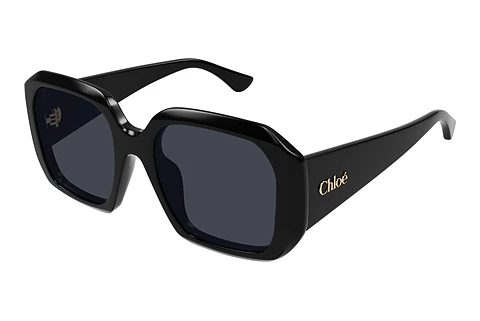 Sunglasses Chloé CH0300S 001