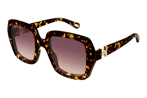 Sunglasses Chloé CH0301S 002