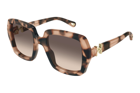 Sunglasses Chloé CH0301S 006